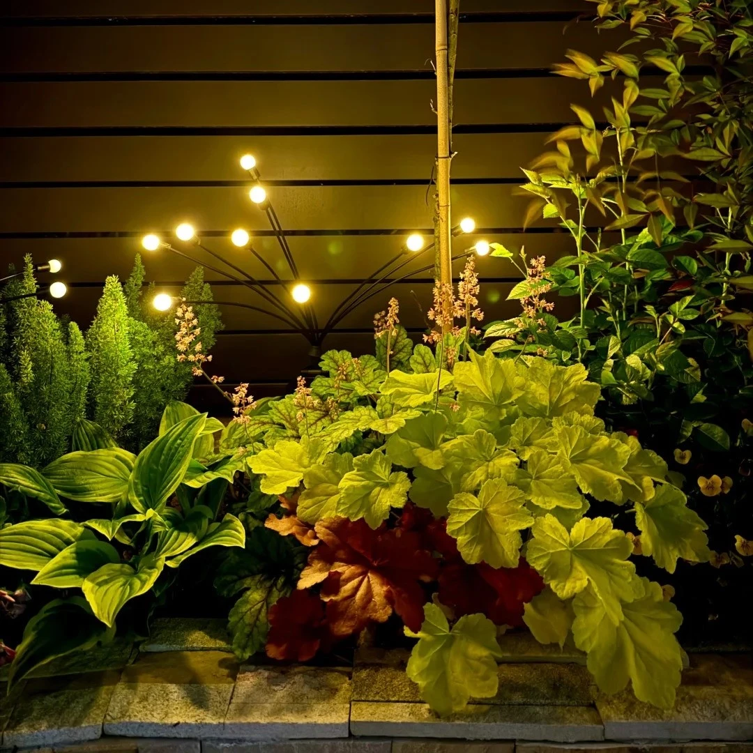 firefly solar lighting